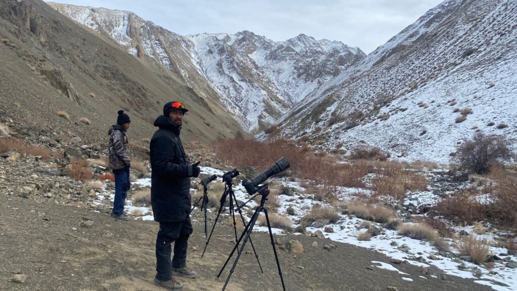panthera expedition Birding Tour to Hanle and Tsokar ladakh changthang region 12
