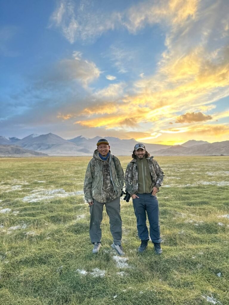 panthera expedition Birding Tour to Hanle and Tsokar ladakh changthang region birding in ladakh (1)